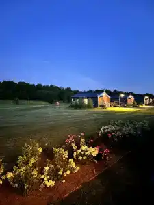 Новое Волосово - 89