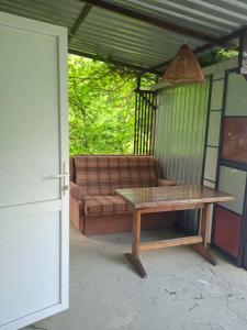 Светлана - 19