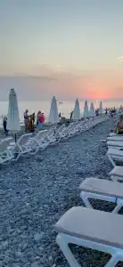 Виолетта - 4