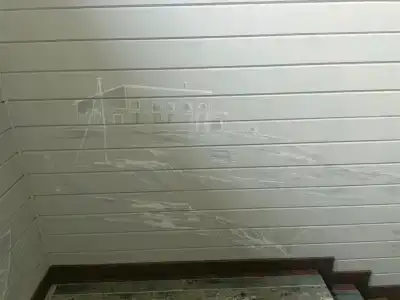 Точка Байкала - 81