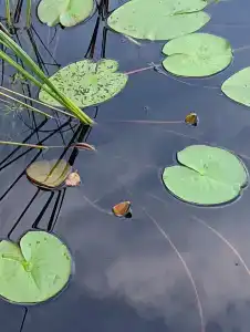 Котелево - 10