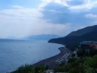 Багира - 51