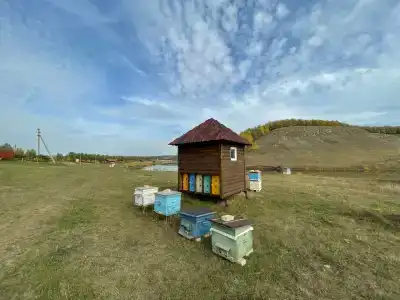 Бишкурай - 11
