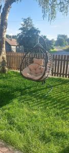 Загородный - 61