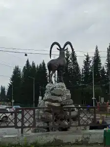 Аршан - 61