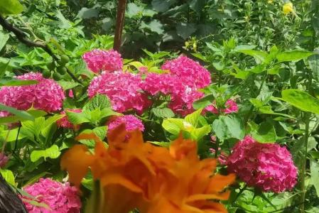 Гостевой дом у Кедра - 12