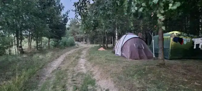 Три Берега - 66