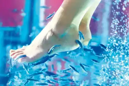 Dalaman Airport Lykia Thermal & Spa - 44