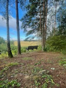 Изначальное - 78