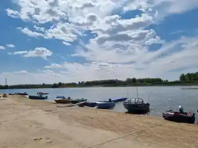Лес и Рыба - 15