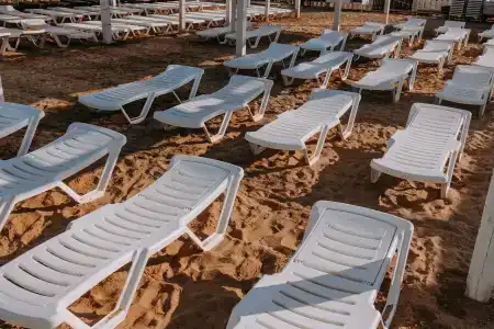 Горгиппия - 29