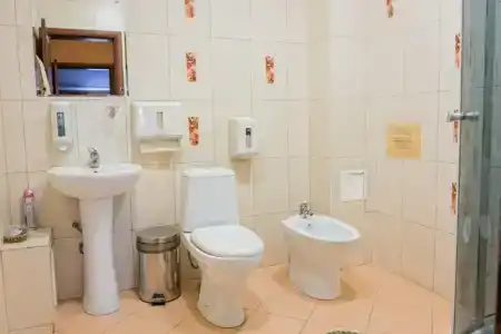 Милославский - 46