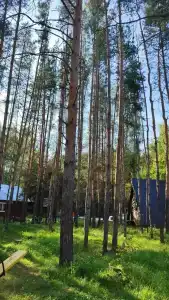 4 Сезона - Нефтяник - 80