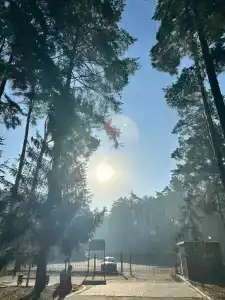 Лесные дали - 3