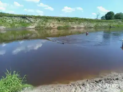 Белые бугры - 69