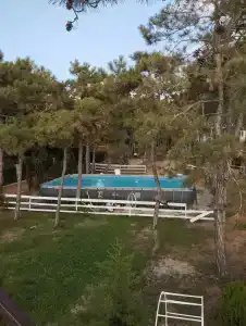 Песчаный берег - 38