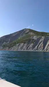 Дельфина - 6