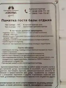 Сосны - 22