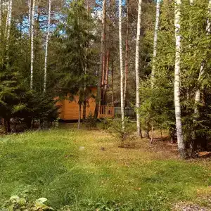 Лесная сказка - 26