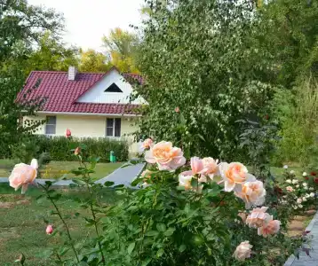 Осинки - 3