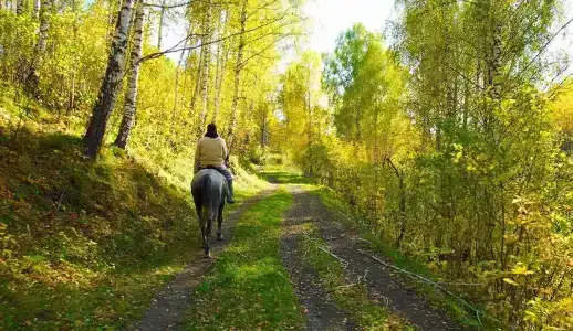 Медвежий Угол Алтай - 47