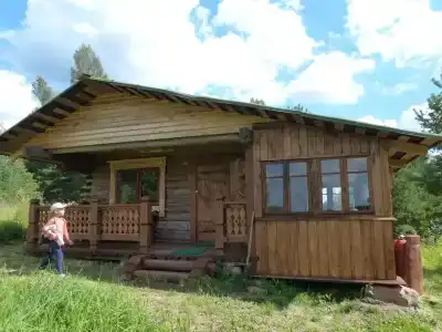 в лесу - 0