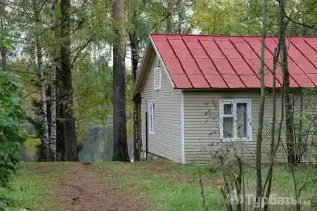 Рубин - 11