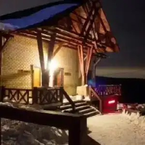 Снегири - 49