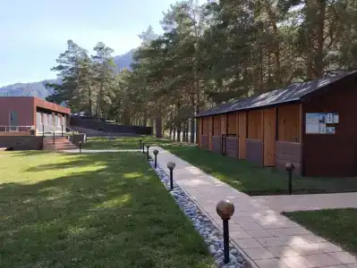 Лаванда - 39