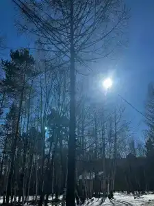 Байкальский Бор - 8