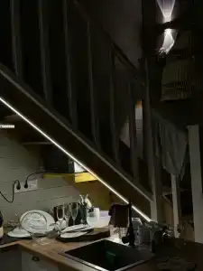 Пенеснарь - 47