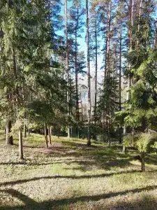 База Сокол, озеро Глубокое - 21