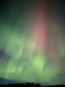 Эксклюзив Тур - 20