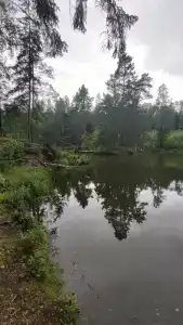 Железинка - 34