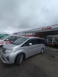 Дикая Вишня - 3