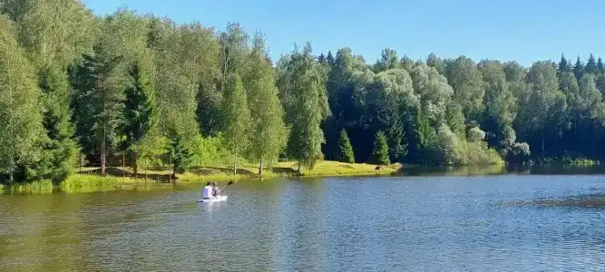 Нара - 6