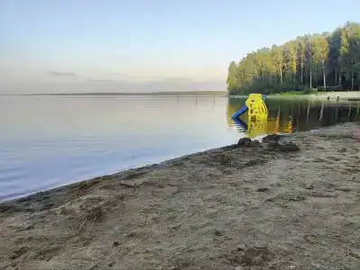 Чистая Заводь - 6
