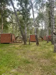 Берёзовая роща - 5