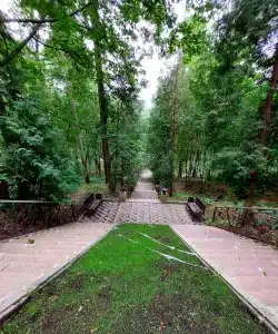 Белое солнце - 86