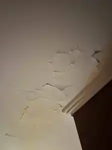 Steep - 21