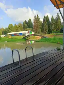 В Воробьево - 18