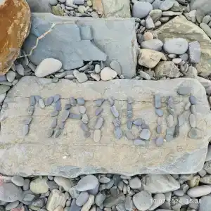 Пансионат Ольга - 18