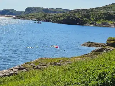 Норд Пилигрим - 37