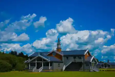 Новое Волосово - 81