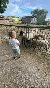 Страусиная ферма Экзотик - 48