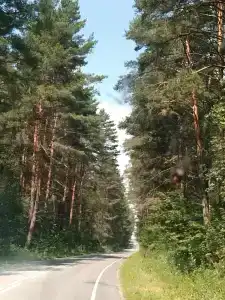 Хорошевка - 17