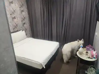 Декабрист - 5