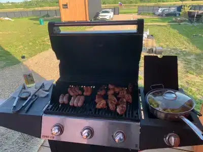 Гагарин Барн - 40