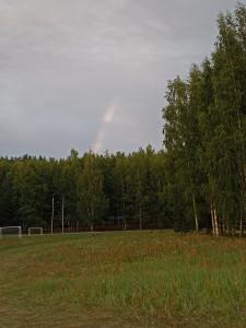 Кот и Дуб - 23