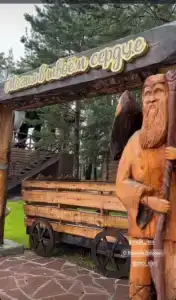 Магия леса - 51